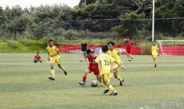 足球爆料假球视频播放,假球视频曝光，真相令人震惊